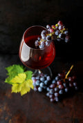 Wine Fridge 12-Bottle Thermoelectric