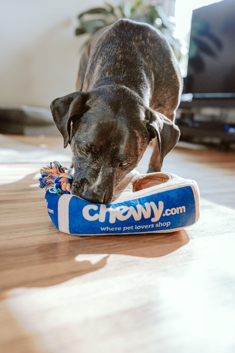 Interactive Puzzle Dog Toy - Treat Dispenser
